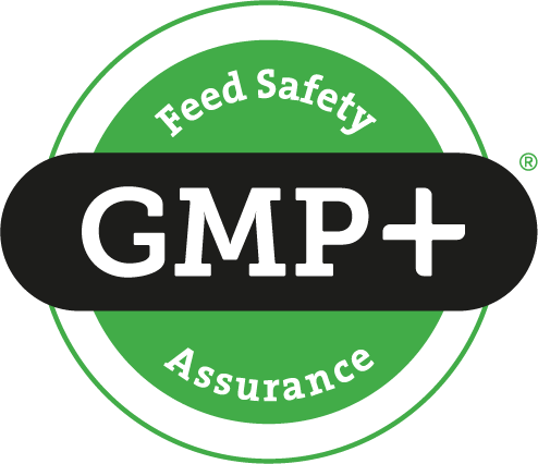 GMP certification